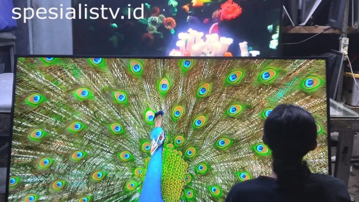 Ganti layar TV Samsung yang berukuran besar