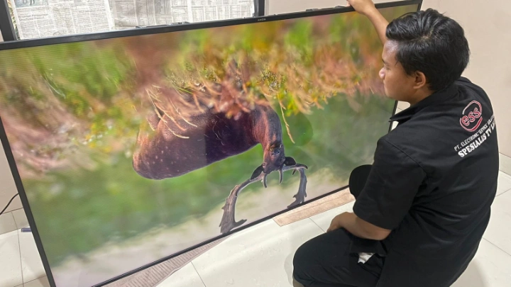 service tv jakarta selatan