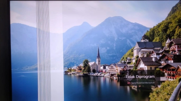 Tv panel bergaris tebal