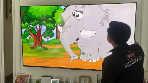 Service TV Pasar Minggu