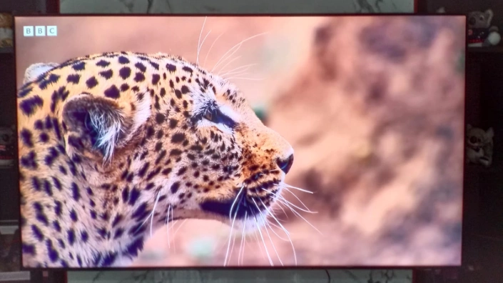 Kondisi TV Samsung 55AU7000 yang telah normal dan gambar jernih kembali